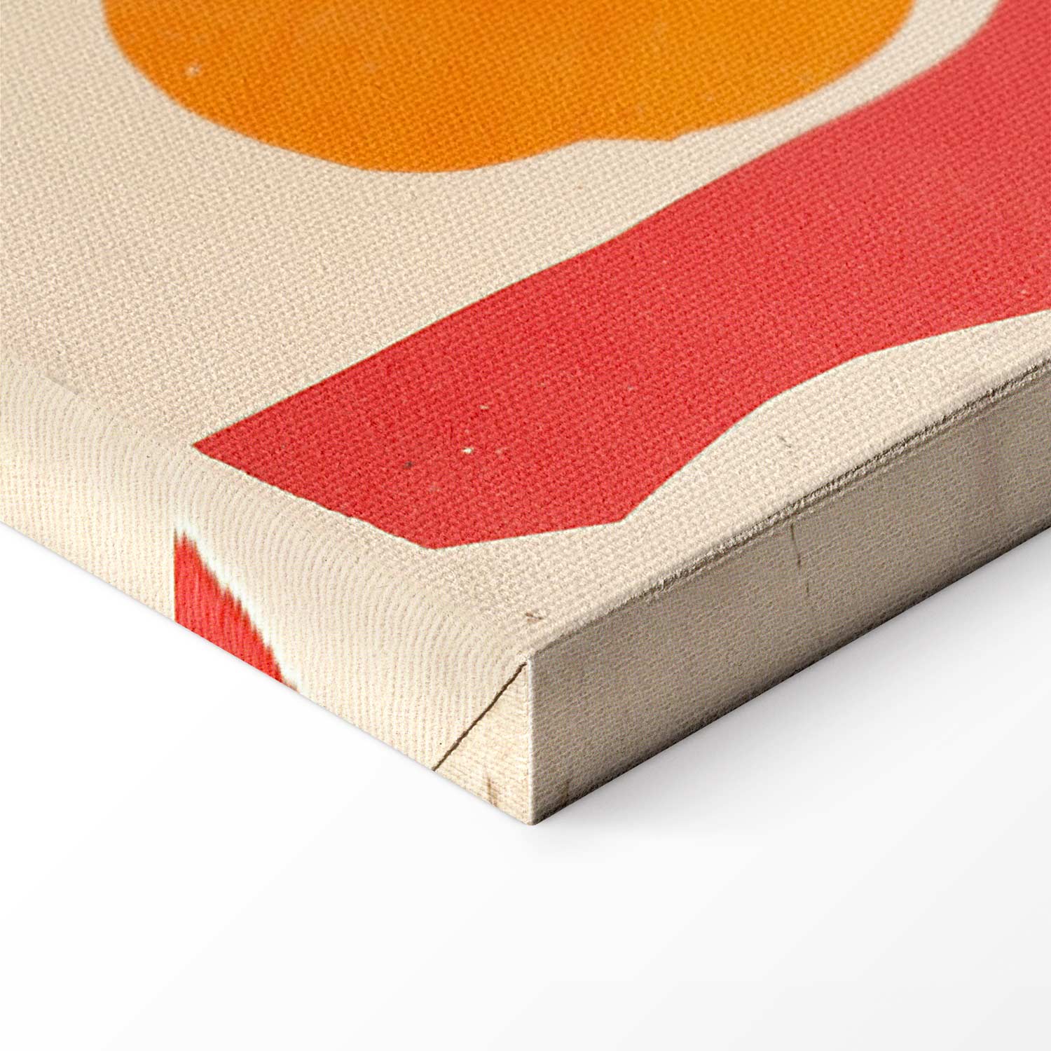 Wild Poppies Floral Canvas Print