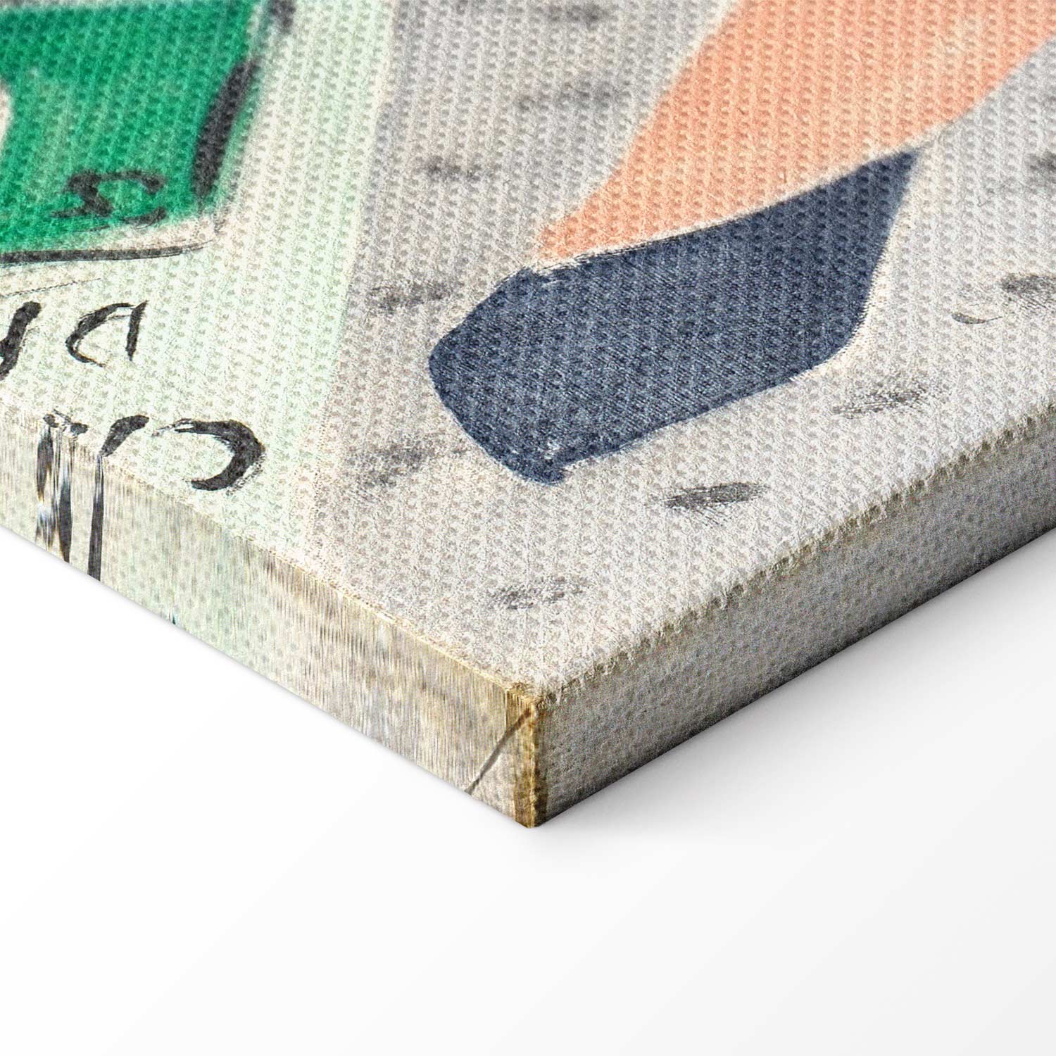 Matisse Woman in a Purple Coat Classic Canvas Print