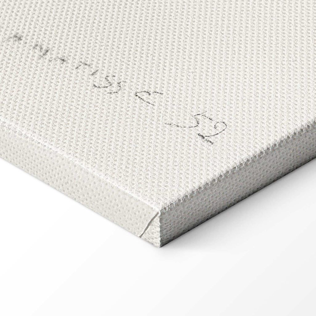 Henri Matisse Flowing Hair Figure Canvas Print