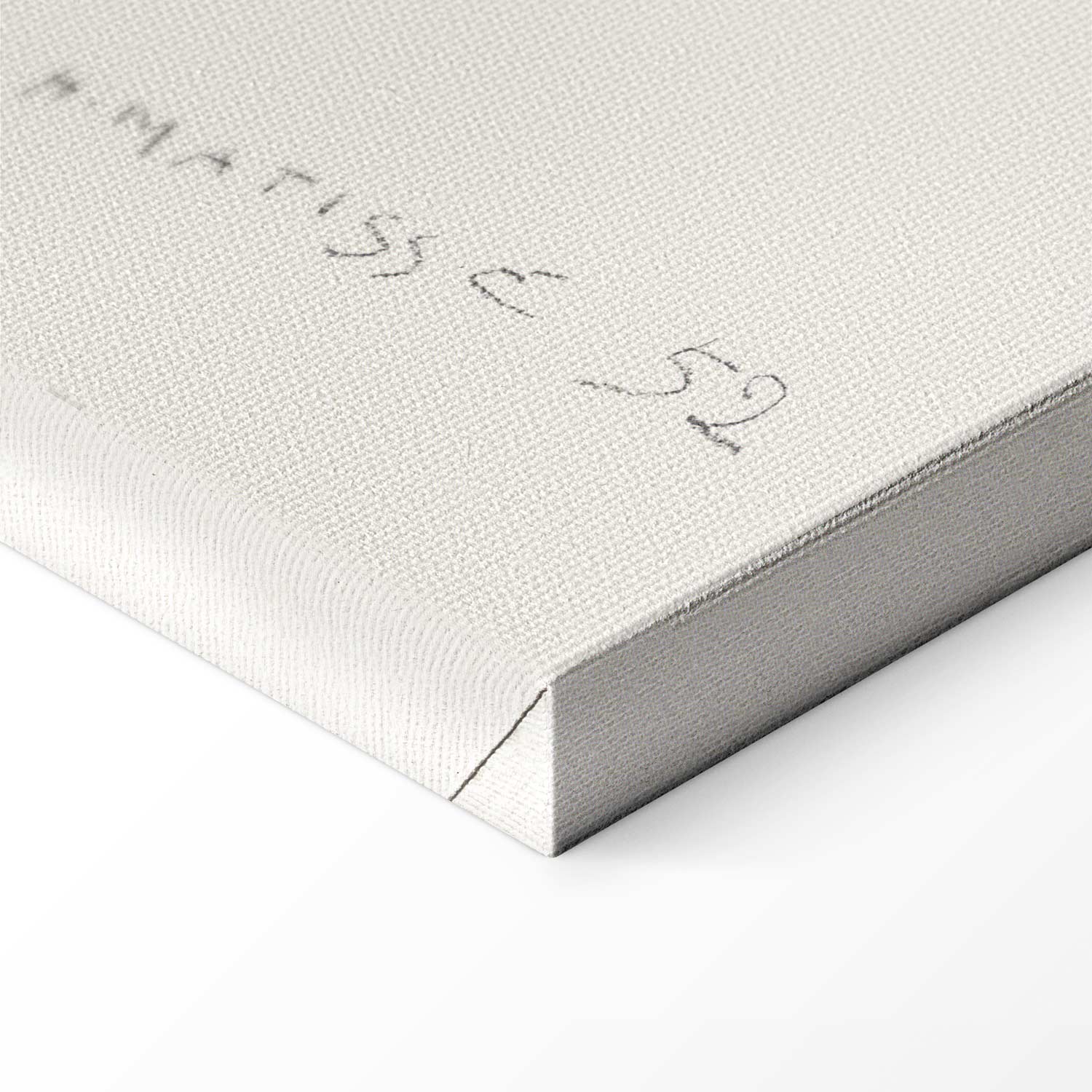 Henri Matisse Flowing Hair Figure Canvas Print