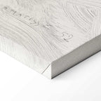 Henri Matisse Flowing Hair Figure Canvas Print