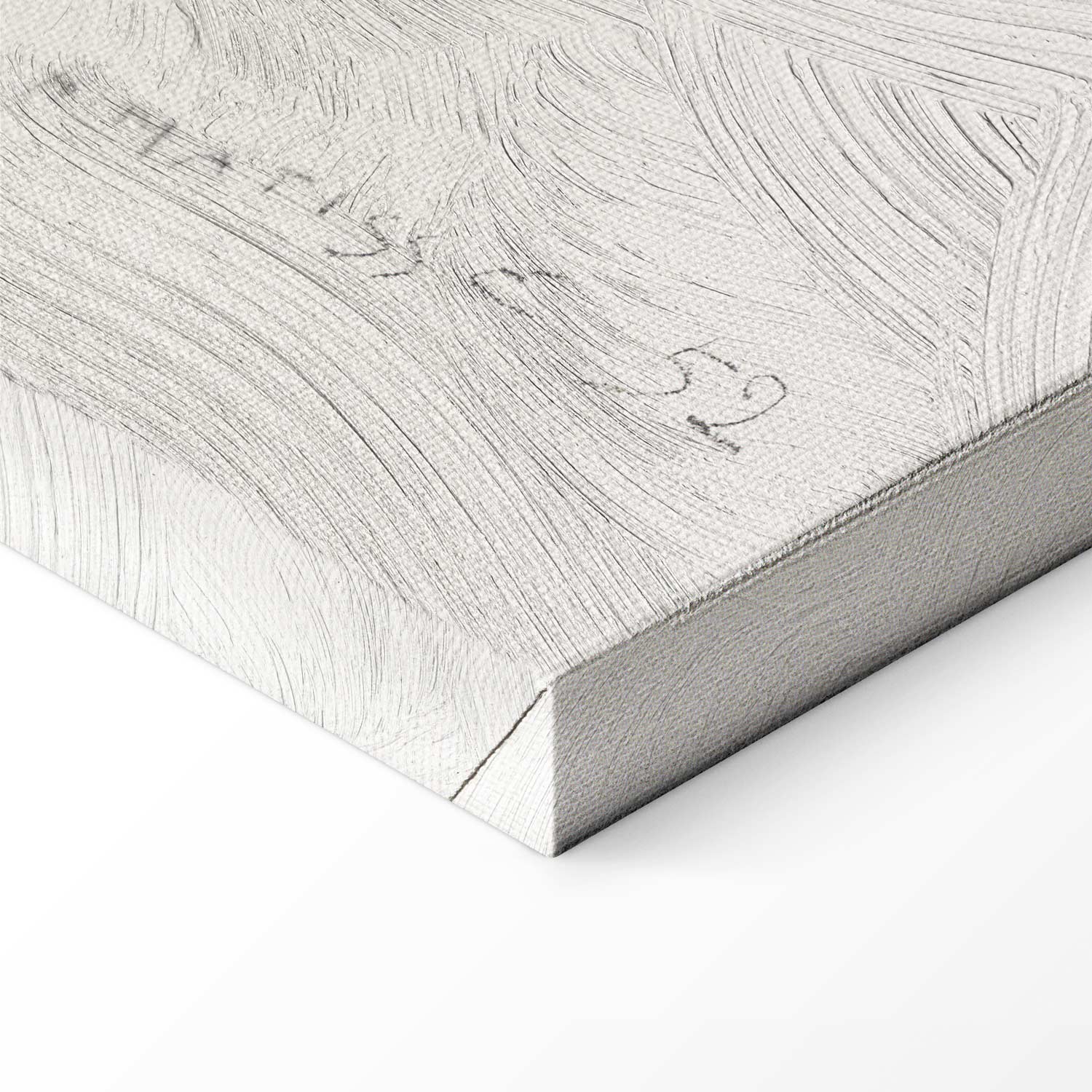 Henri Matisse Flowing Hair Figure Canvas Print