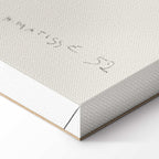 Henri Matisse Flowing Hair Figure Canvas Print