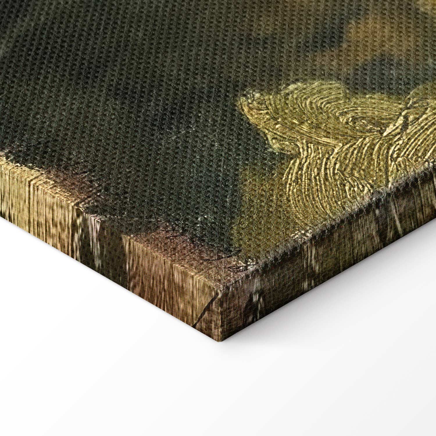 Corsican Olive Trees Landscape Classic Canvas Print