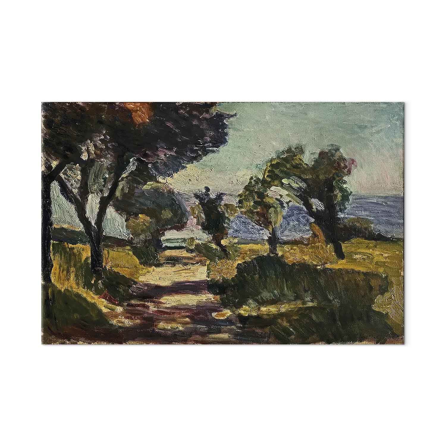 Corsican Olive Trees Landscape Classic Canvas Print