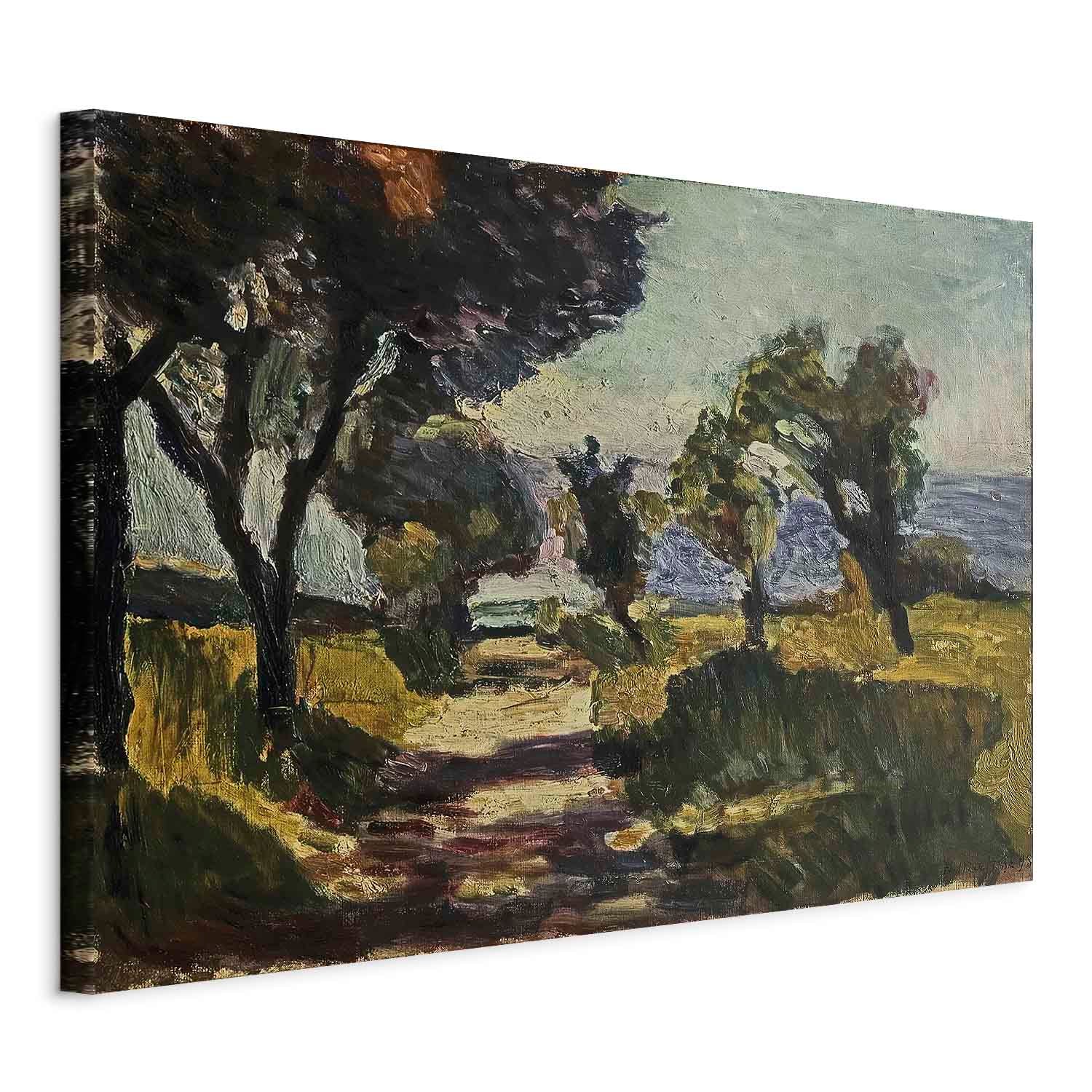 Corsican Olive Trees Landscape Classic Canvas Print