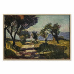Corsican Olive Trees Landscape Classic Canvas Print
