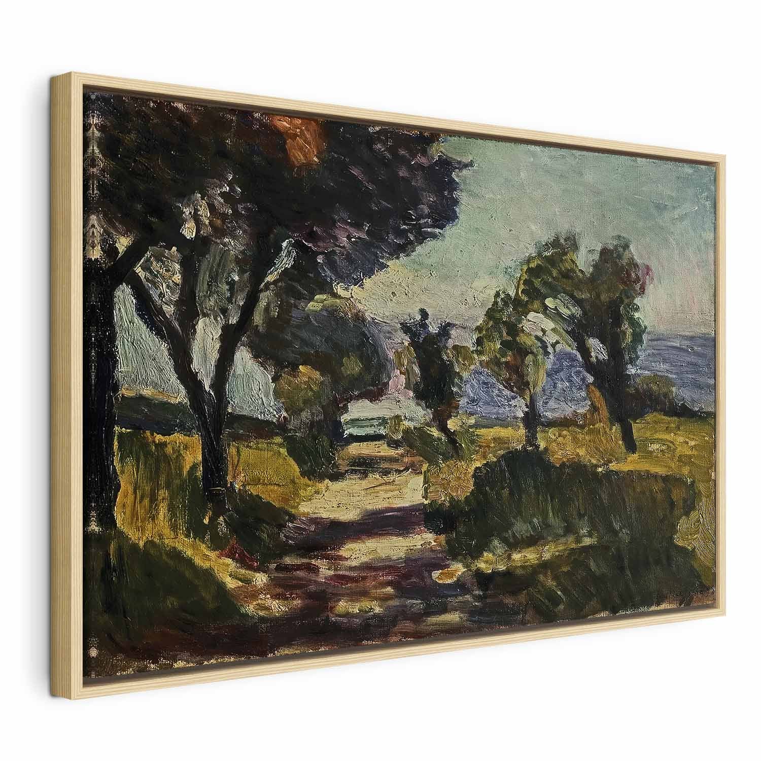 Corsican Olive Trees Landscape Classic Canvas Print