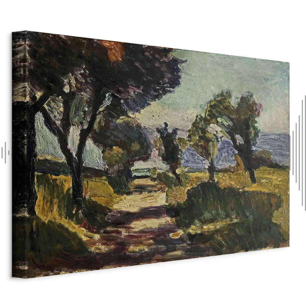 Corsican Olive Trees Landscape Classic Canvas Print