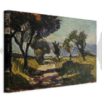 Corsican Olive Trees Landscape Classic Canvas Print