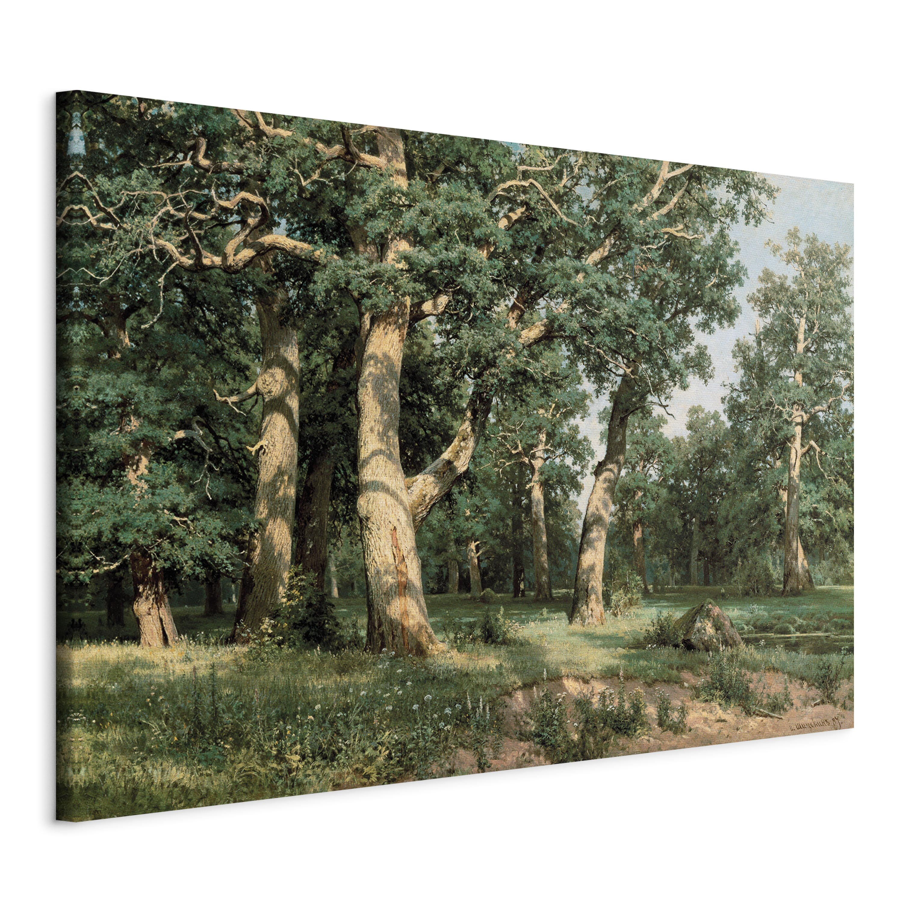 Canvas Print Oak Forest