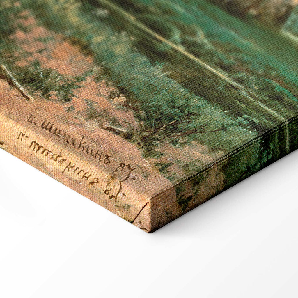 Oak Forest Landscape Classic Canvas Print