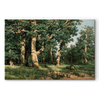 Oak Forest Landscape Classic Canvas Print