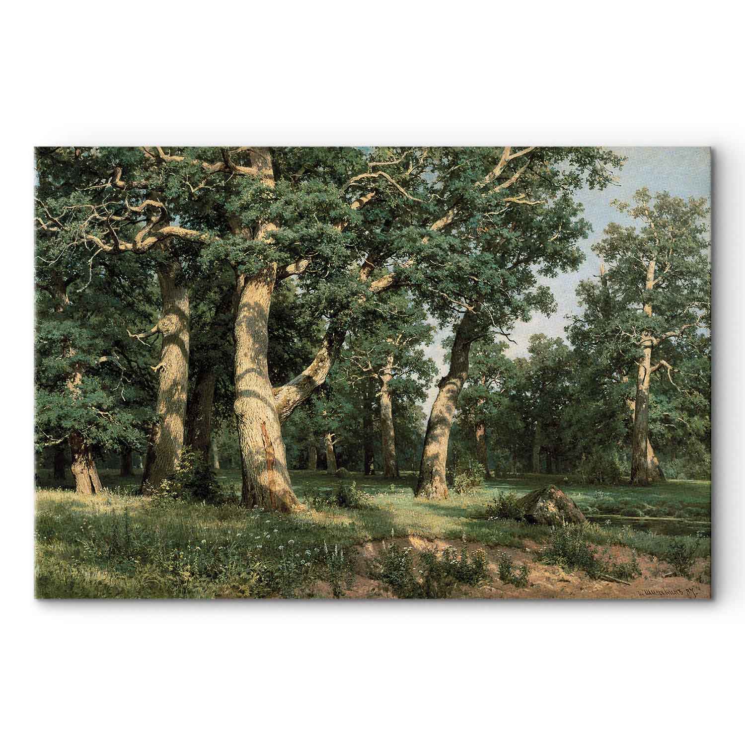 Oak Forest Landscape Classic Canvas Print