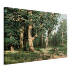 Canvas Print Oak Forest