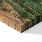 Oak Forest Landscape Classic Canvas Print