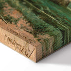 Oak Forest Landscape Classic Canvas Print