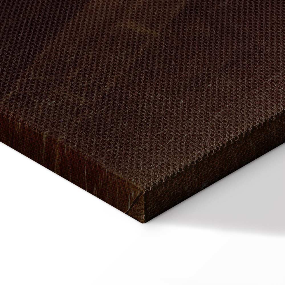 Carl Spitzweg The Bookworm Classic Canvas Print