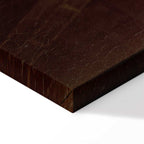 Carl Spitzweg The Bookworm Classic Canvas Print