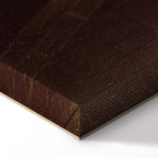 Carl Spitzweg The Bookworm Classic Canvas Print