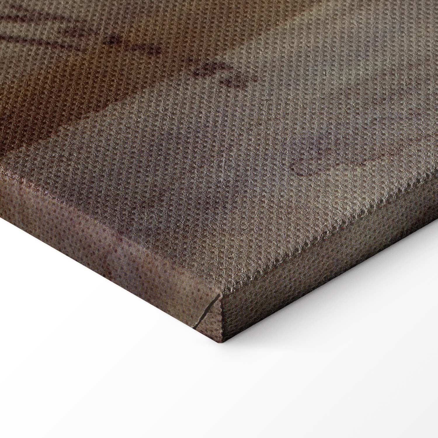 Classical Nude Figure Art Canvas Print