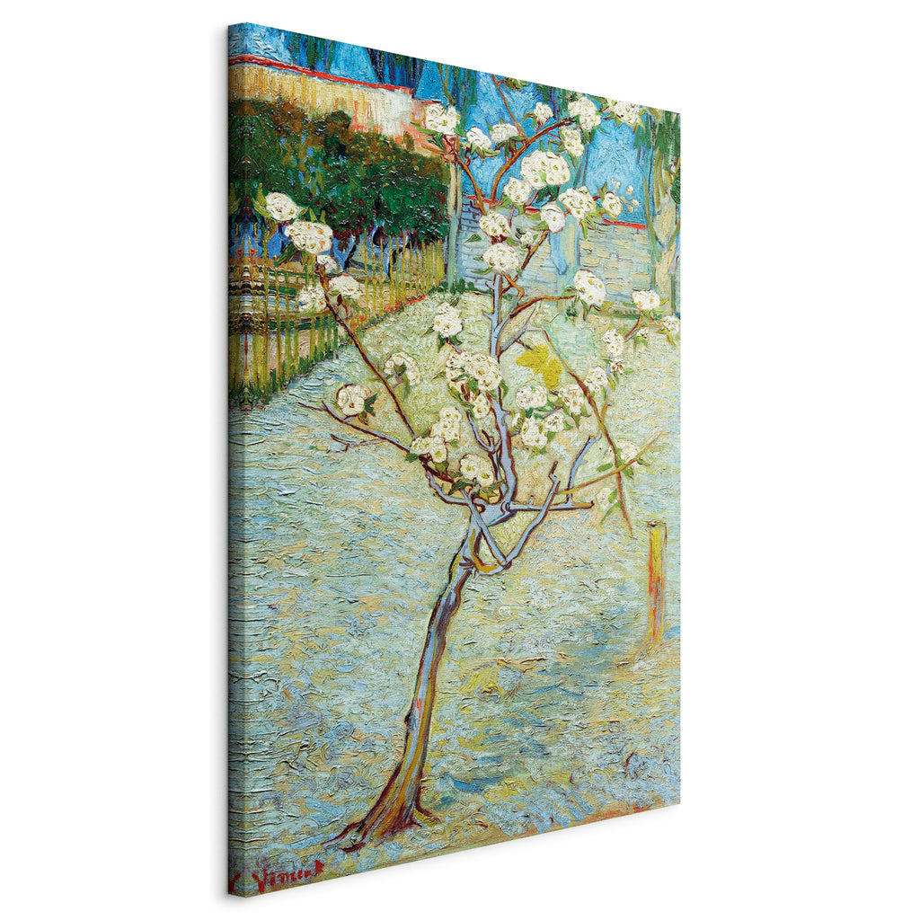 Canvas Print Blossoming Pear Tree