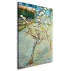 Canvas Print Blossoming Pear Tree