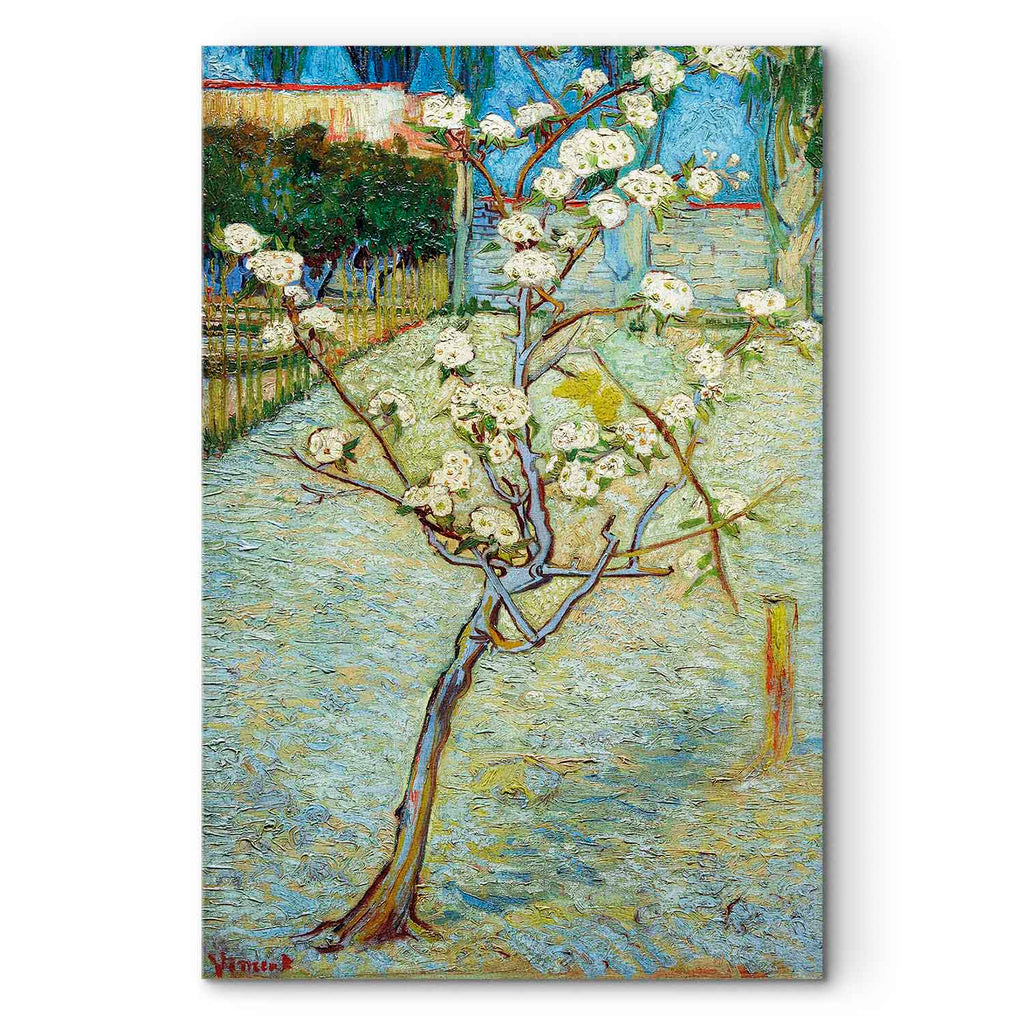 Blossoming Pear Tree Nature Canvas Print