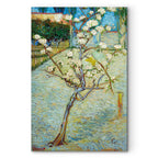 Blossoming Pear Tree Nature Canvas Print