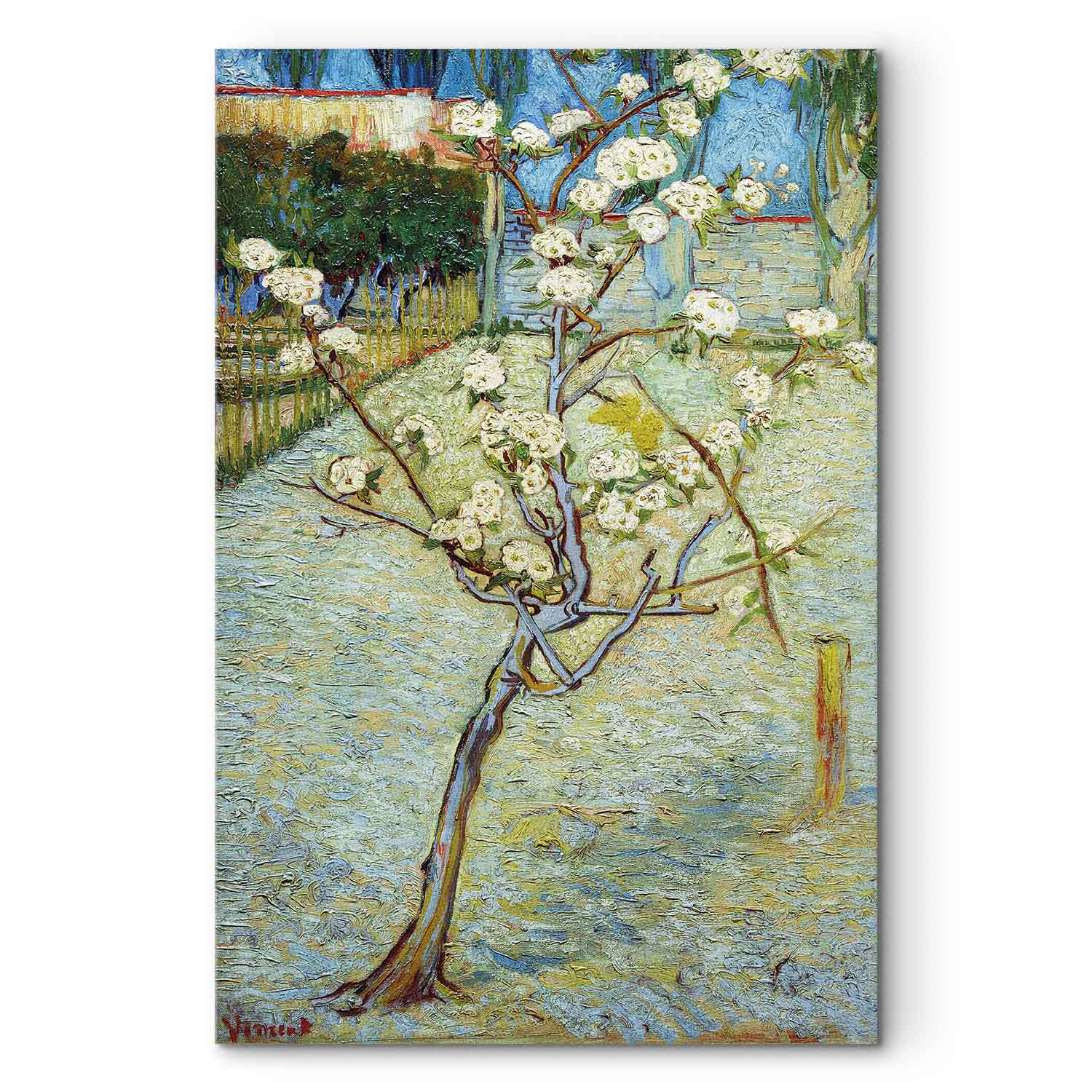 Blossoming Pear Tree Nature Canvas Print