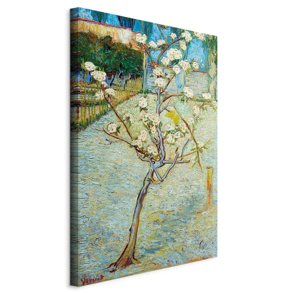 Canvas Print Blossoming Pear Tree