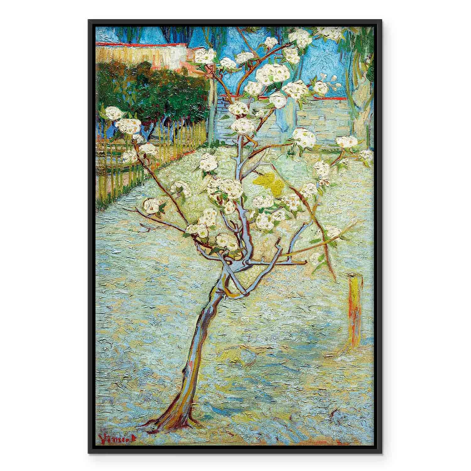 Blossoming Pear Tree Nature Canvas Print