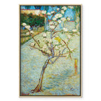 Blossoming Pear Tree Nature Canvas Print