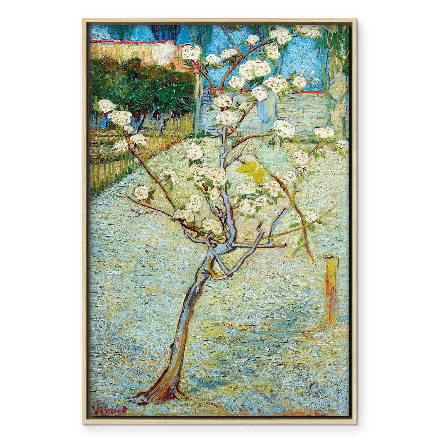 Blossoming Pear Tree Nature Canvas Print