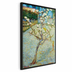 Canvas Print Blossoming Pear Tree