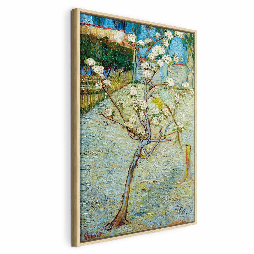 Canvas Print Blossoming Pear Tree