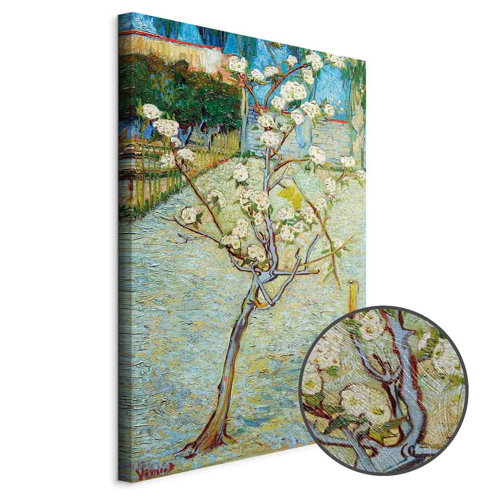 Blossoming Pear Tree Nature Canvas Print