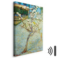 Blossoming Pear Tree Nature Canvas Print