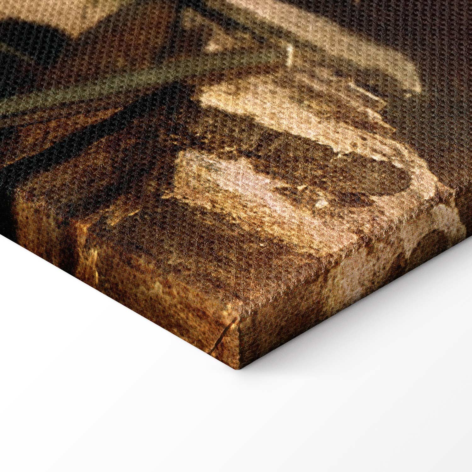 Carl Spitzweg Im Dachstübchen Classic Canvas Print