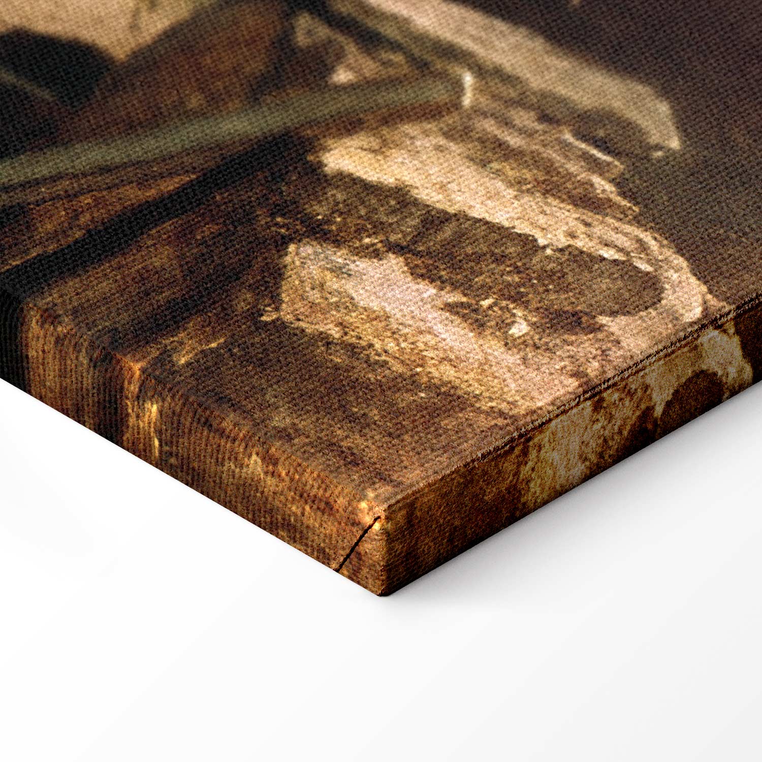 Carl Spitzweg Im Dachstübchen Classic Canvas Print