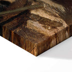 Carl Spitzweg Im Dachstübchen Classic Canvas Print