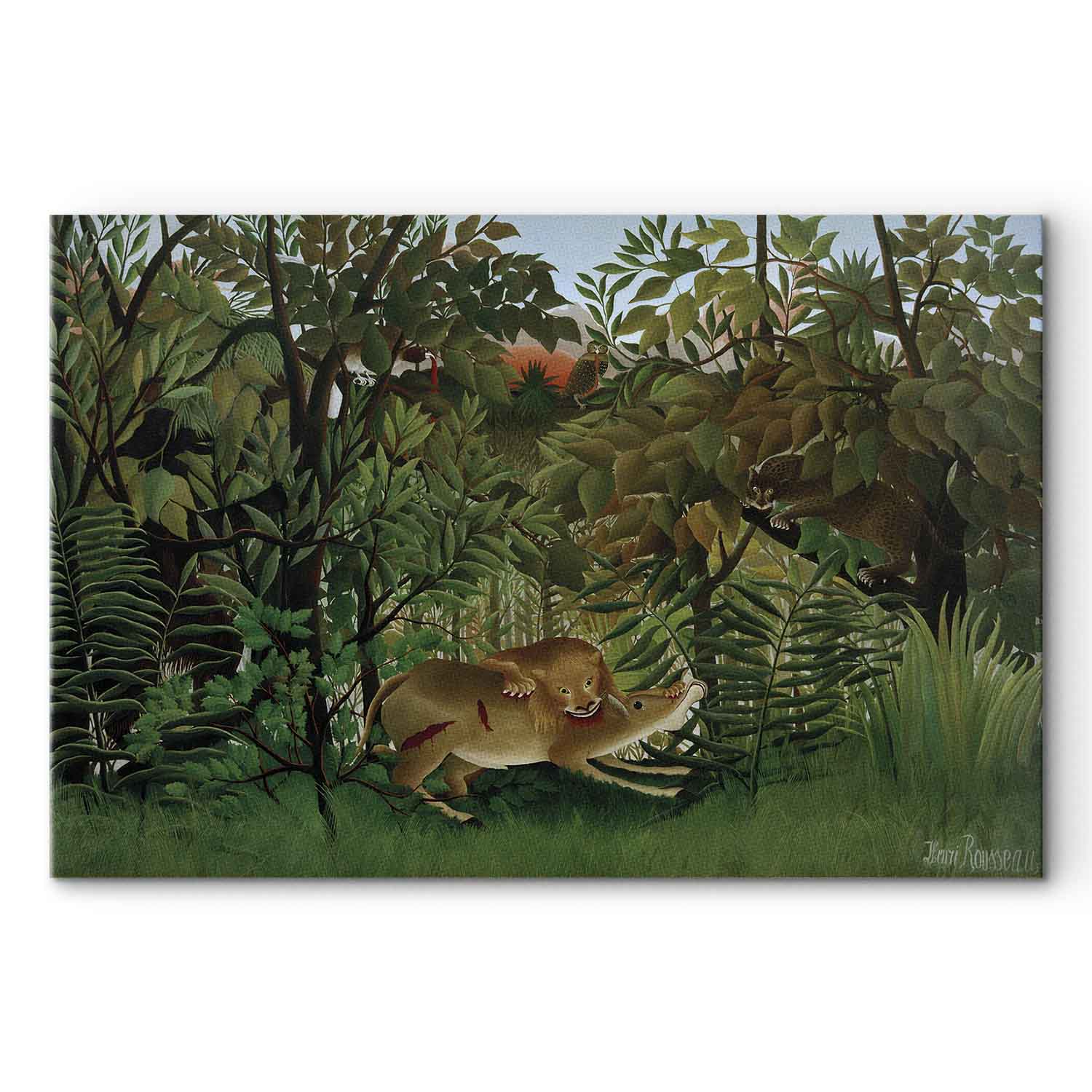 Jungle Lion Attack Classic Canvas Print