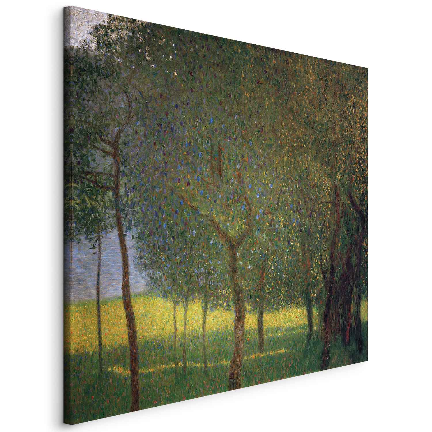 Fruit Trees on Attersee Classic Canvas Print