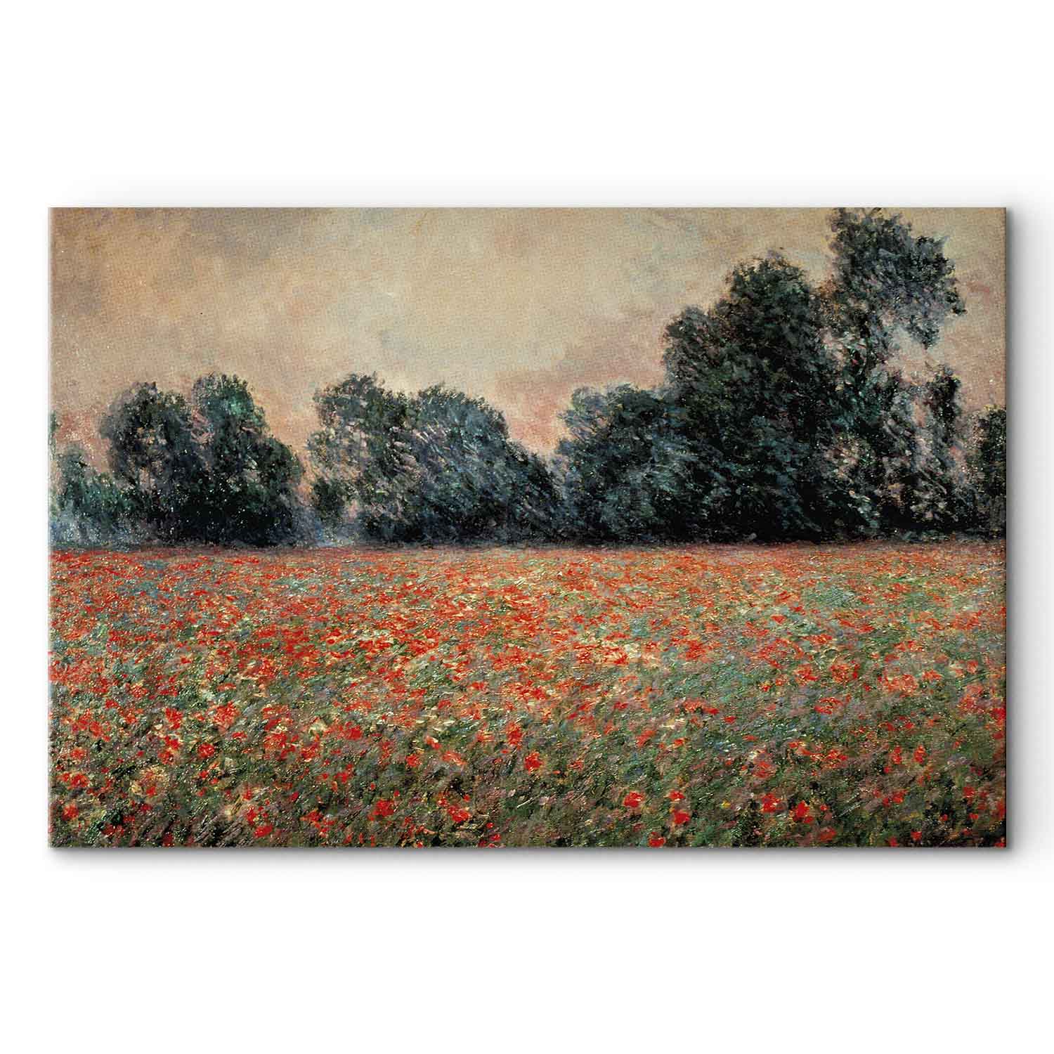 Wild Poppies Landscape Classic Canvas Print