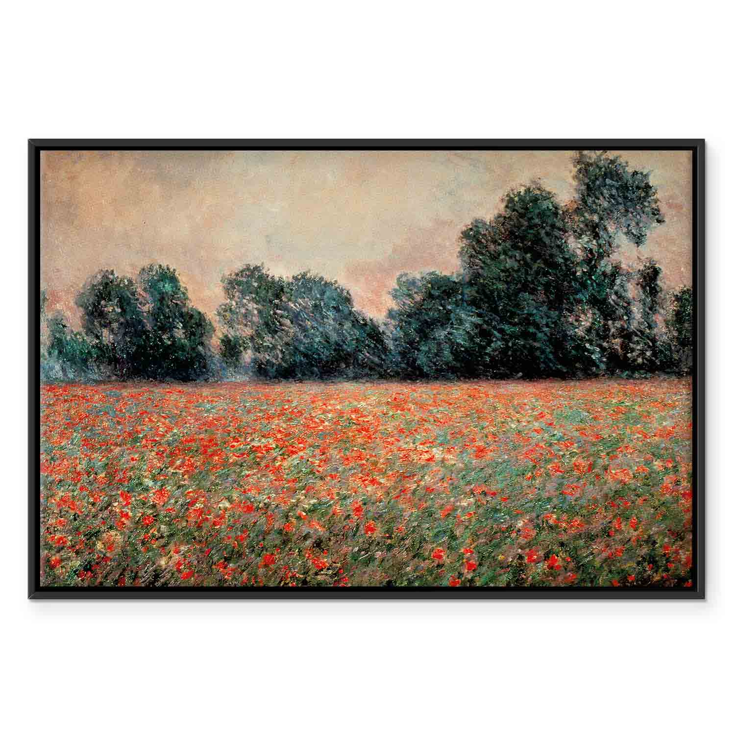 Wild Poppies Landscape Classic Canvas Print