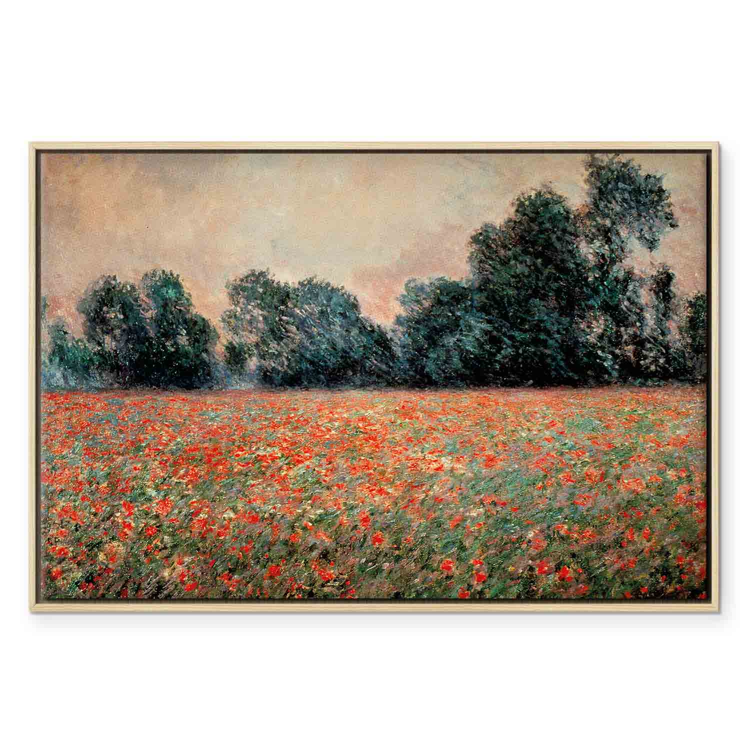 Wild Poppies Landscape Classic Canvas Print