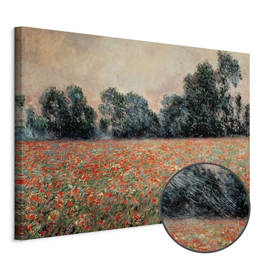 Wild Poppies Landscape Classic Canvas Print