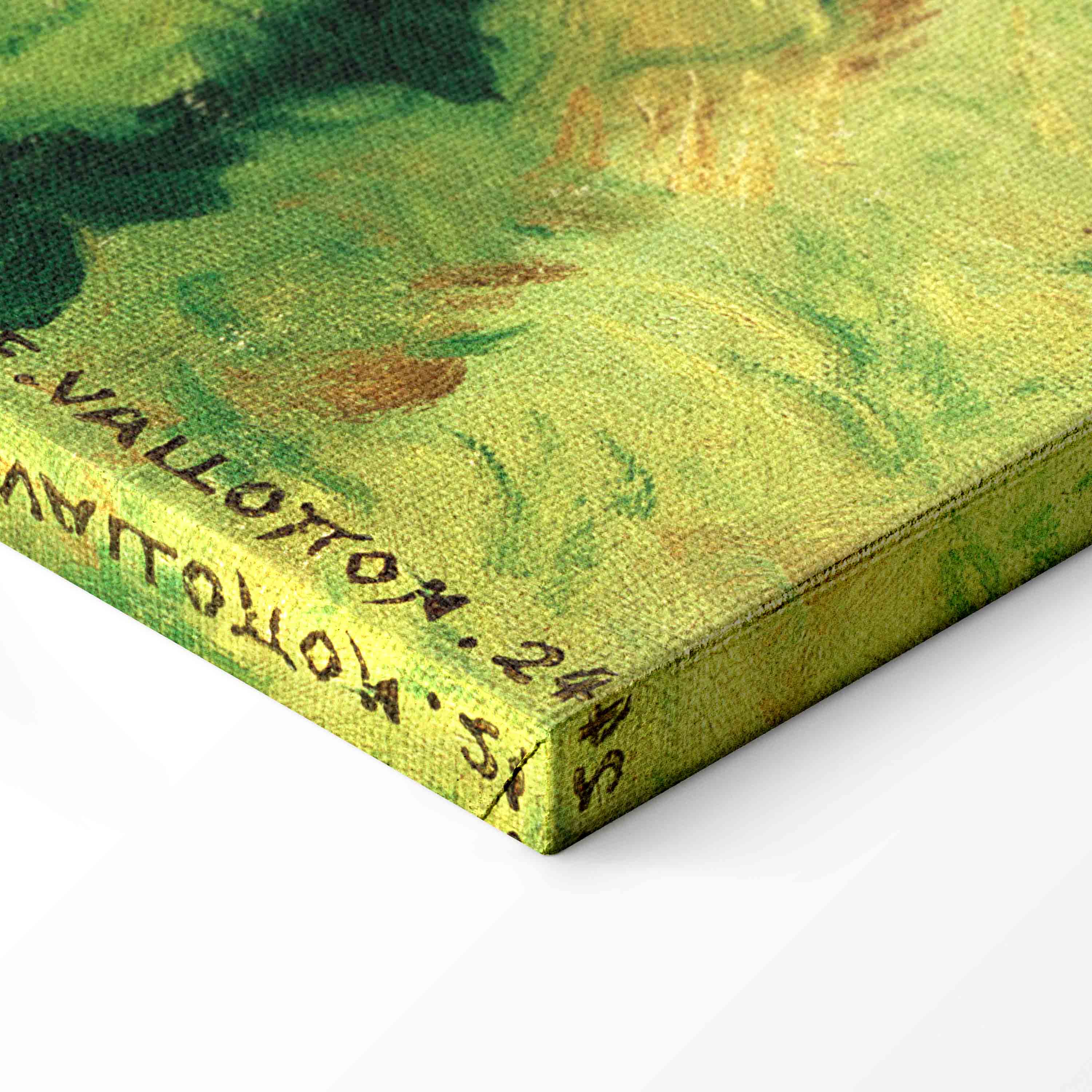 Vallée de la Cagne Landscape Canvas Print