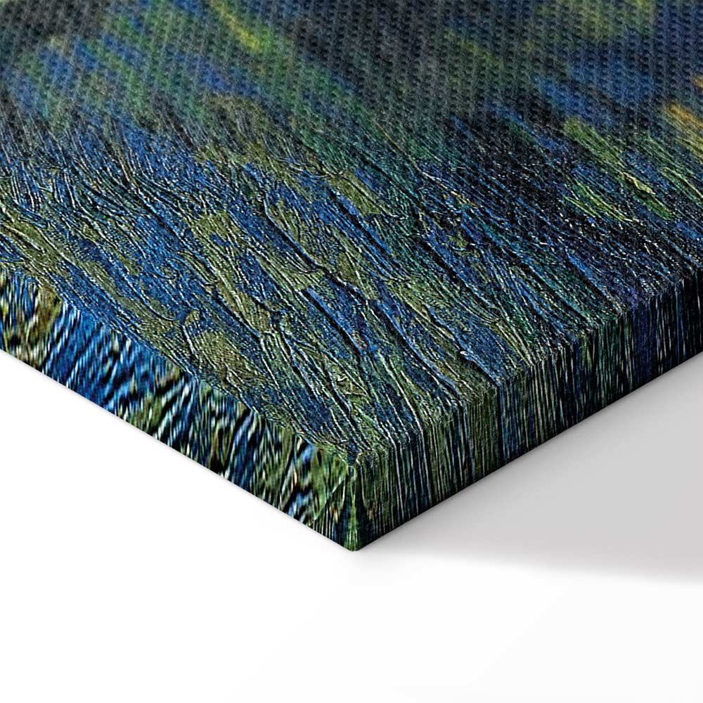 Starry Night Over the Rhone Classic Canvas Print