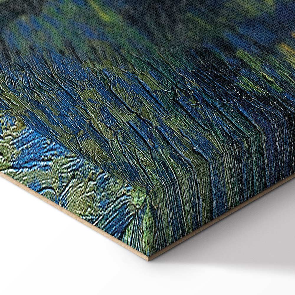 Starry Night Over the Rhone Classic Canvas Print